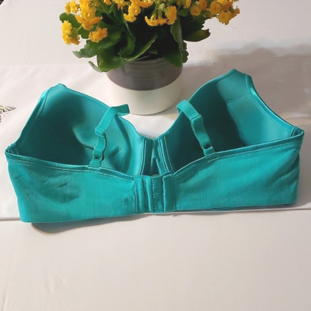 Vanity Fair Bra - image 2